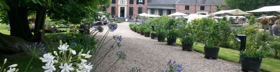 Nederlandse Agapanthus dagen bij kasteel Rosendael.